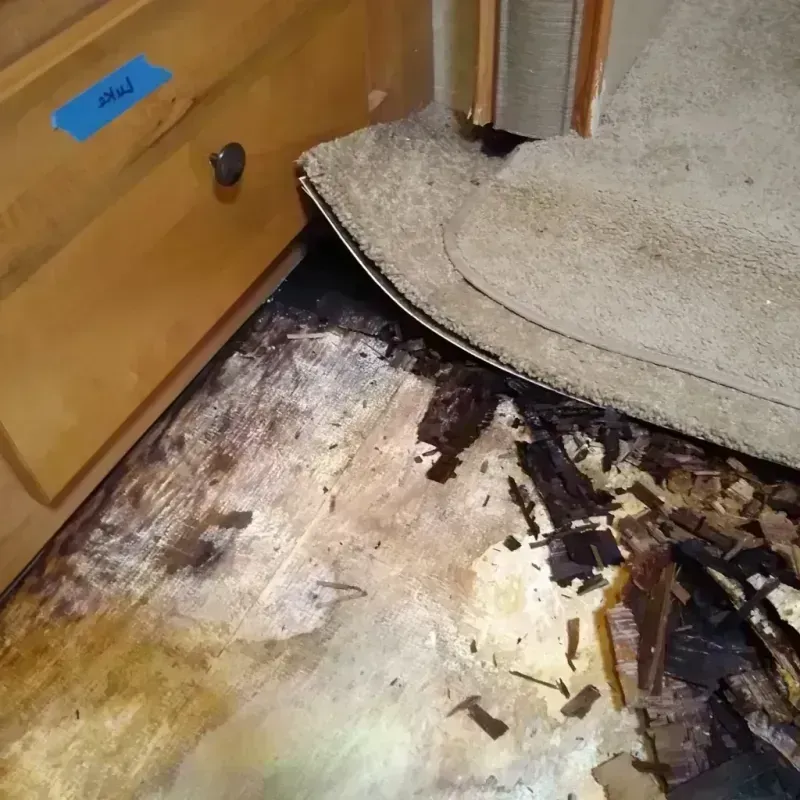 Best Wood Floor Water Damage Service in Franklin, NC